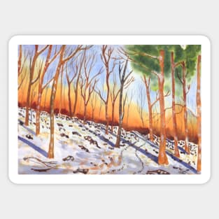 The Snowy Woodland Sticker